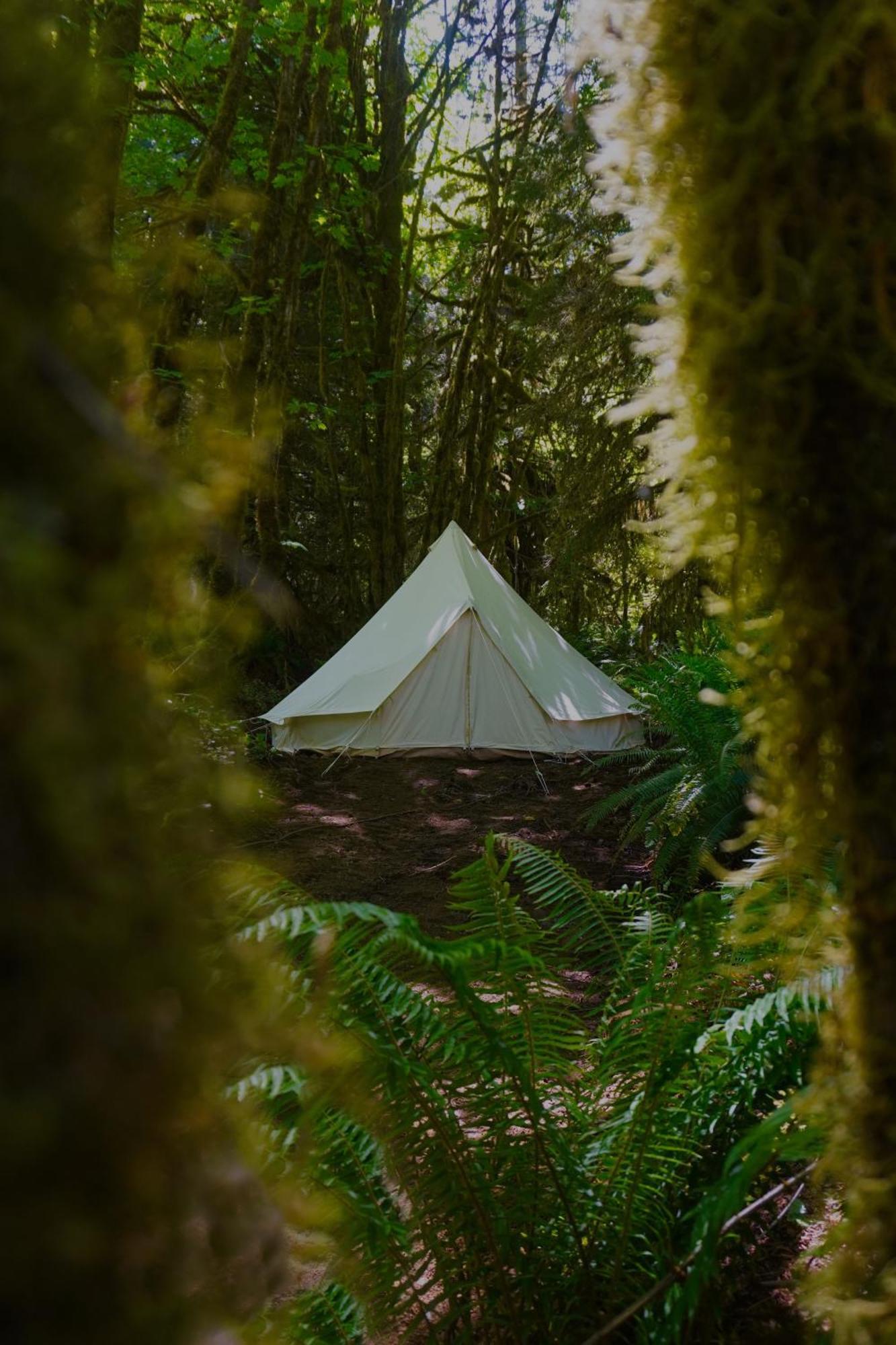 Hotel Olympic Glamping à Port Angeles Extérieur photo
